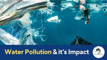 Impacts of Water Pollution on Environment and Public Health | Earth Science