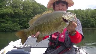 Big small mouth bass./猪苗代湖で50UPのスモールマウスバス【EP.65】