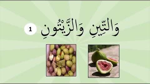 Surah At Tin | Surah Teen | سورة التين | سورة التين مكررة