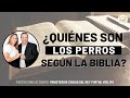 ¿QUIÉNES SON LOS PERROS SEGÚN LA BIBLIA?