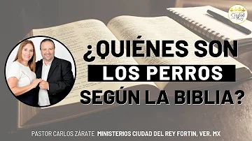 ¿Se menciona al perro galgo en la Biblia?