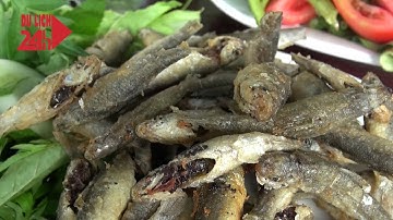 Về miền Tây mùa nước nổi ăn cá linh non ngon khỏi chê | DU LỊCH 24H