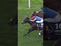 KIND OF BLUE dominates the QIPCO British Champions Sprint Stakes
