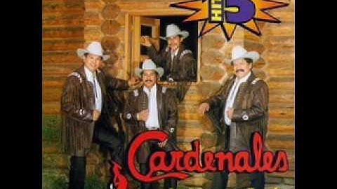 Los Cardenales de Nuevo Leon-Nadie Sabe Lo Que Tiene