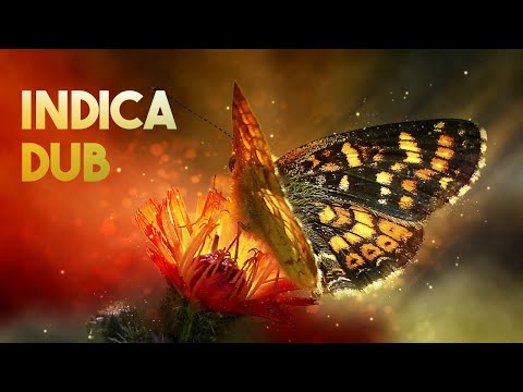 PsyDub Mix - Indica Dub (Psychedelic Dub | 2023)