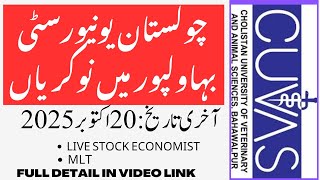 Cholistan university Bahawalpur CUVAS jobs 2025 #jobs #fyp 