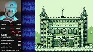 Any% Casual 2:29 (2:25 pace after pixelpipe)