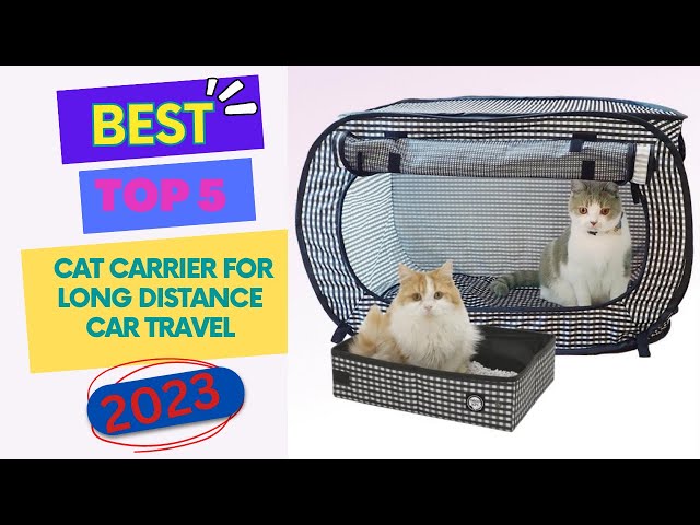 Best Cat Carrier for Long Car Trips – MEWCATS