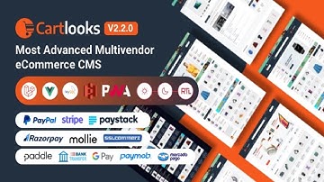 CartLooks Laravel  VueJS Powered Multivendor Ecommerce CMS with PWA