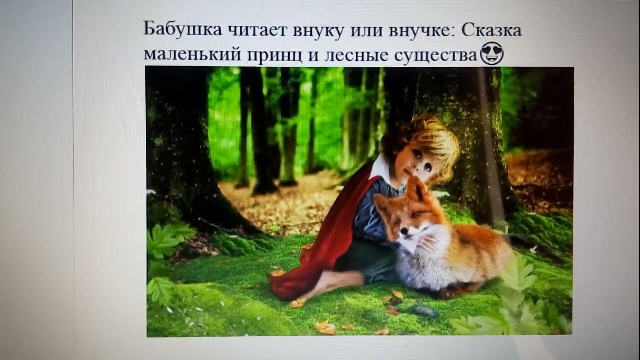 Бабушка читает внуку или внучке: Сказка маленький принц и лесные ...