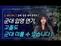 고졸도 가능한 군 연기? ㅣ 군대 입영 연기 총정리!