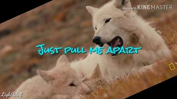 HTTYD/Wolves MEP - Part 5 for Dragon FantasyWolf