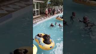 Qia Aiqa Syifaa berenang di Hairos Medan