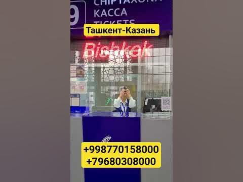 #ташкент #казань #нижнийновгород #набережные_челны #оренбург #шортс # ...