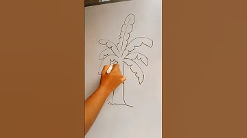 banana tree drawing | tree drawing for beginners 🌳🌲🍌🎨 #shorts #youtubeshorts #drawing