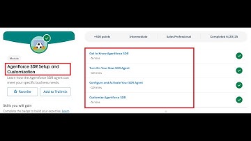 Agentforce SDR Setup and Customization | Salesforce Trailhead