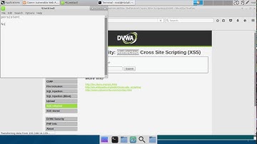 [low] DVWA Reflected XSS - Understanding and Exploiting XSS