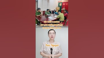 Tìm thấy 2 khách du lịch nước ngoài lạc trong rừng Lào Cai