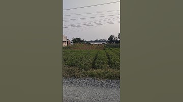 Bán đất vườn View sông, có thổ cư.