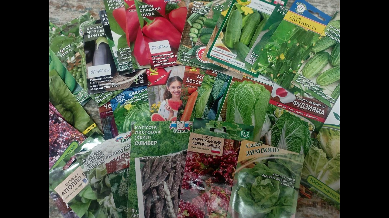 Семена на 2026 год