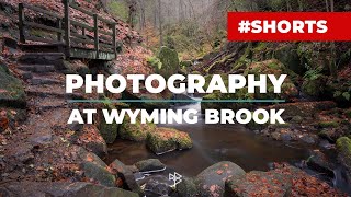 Photography at Wyming Brook #shorts #photography #woodland #waterfallphotography