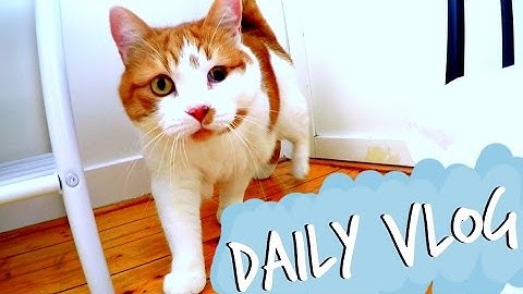 DAILY VLOG | "Jag börjar bli så himla nervös nu..."