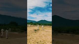 Stunning Four-Wicket Haul by our Teammate | Sunday Cricket | #shorts #cricket #gullycricket #sunday