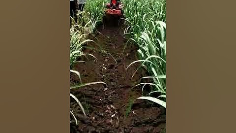 Shaktiman reverse forward Rotavator