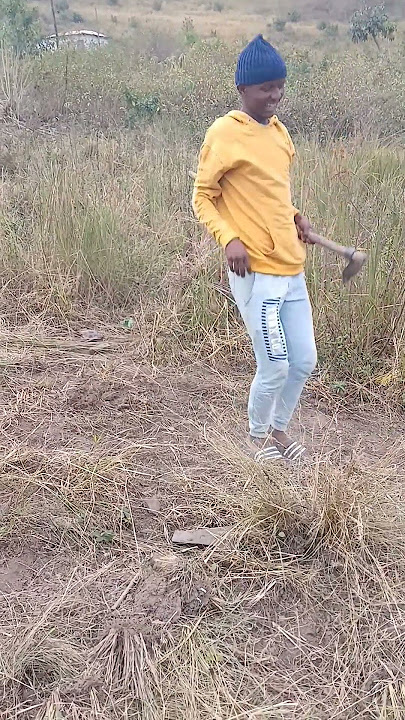 Download lagu shushu mntanami