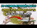 En Octubre atraerás mucho dinero pon orégano en el bolsillo  hoy mismo