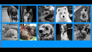 CSS Responsive Touch-Friendly Thumbnail Gallery