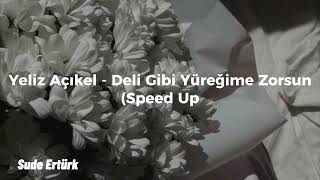 Yeliz Açıkel - Deli Gibi Yüreğime Zorsun (speed up) Resimi