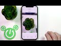 Deleting Photos from Google Photos on iPhone 📱