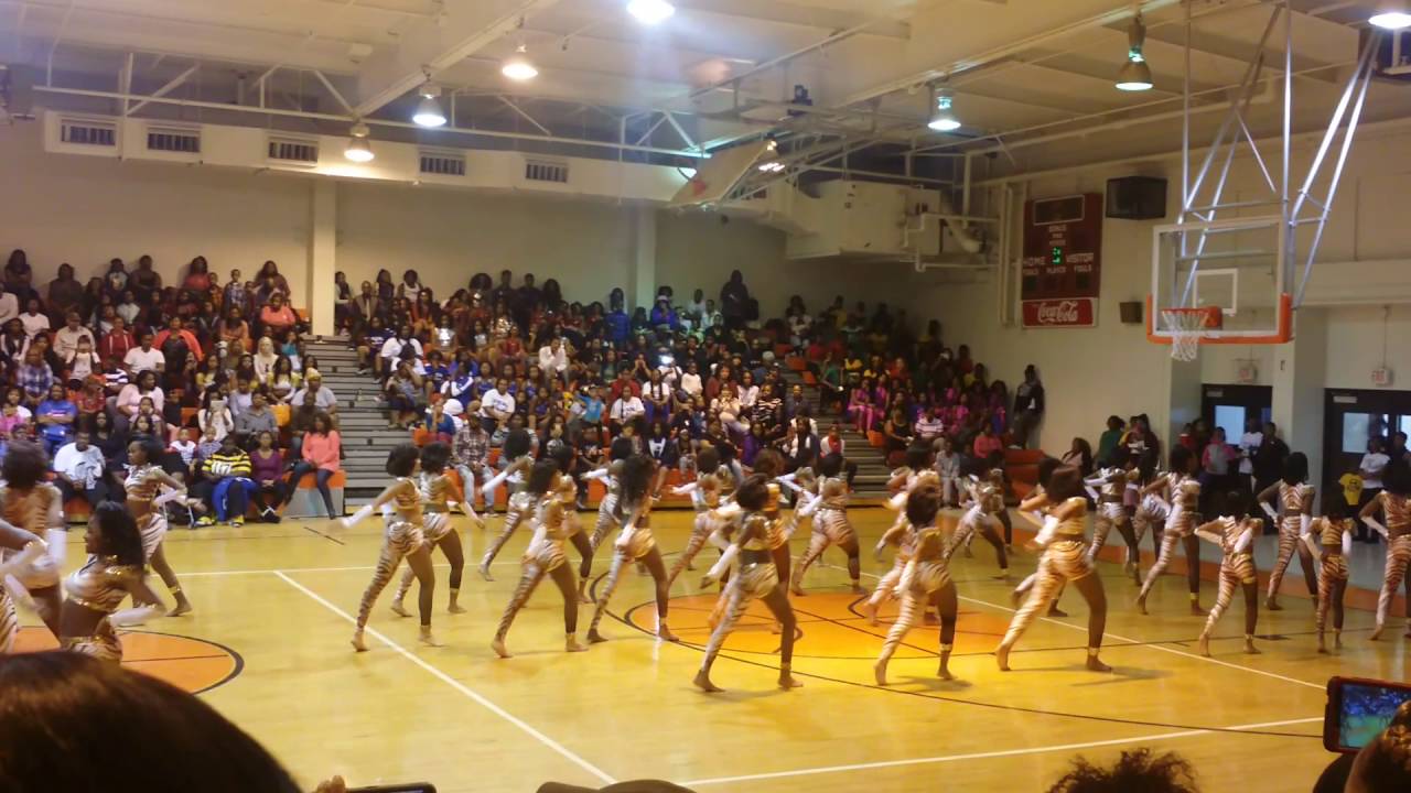 Golden highsteppers fire & ice🔥❄