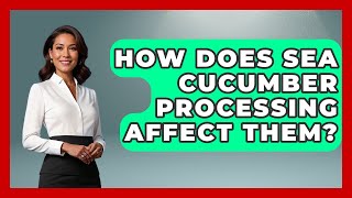 How Does Sea Cucumber Processing Affect Them - The Marine Life Explorer
