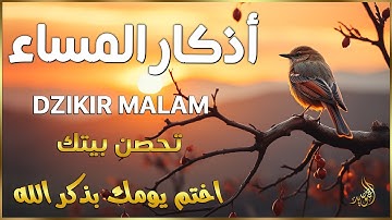 اذكار المساء | راحة وسكينة لقلبك - تحصن بيتك وأهلك من الشيطان | Evening azkar By Alaa Aqel