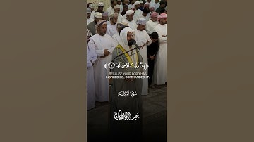 سورة الزلزلة Surah Az-Zalzalah #عبدالولي_الاركاني #abdulwali_alarkani