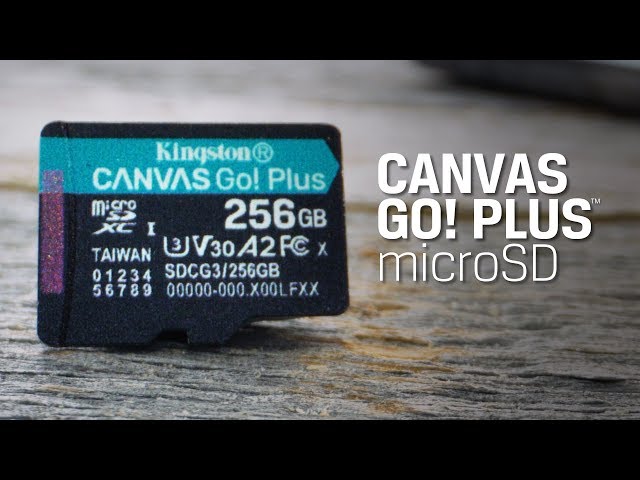 Class 10 microSD Card - V30, U3, A2 - Canvas Go! Plus microSD - Kingston Technology