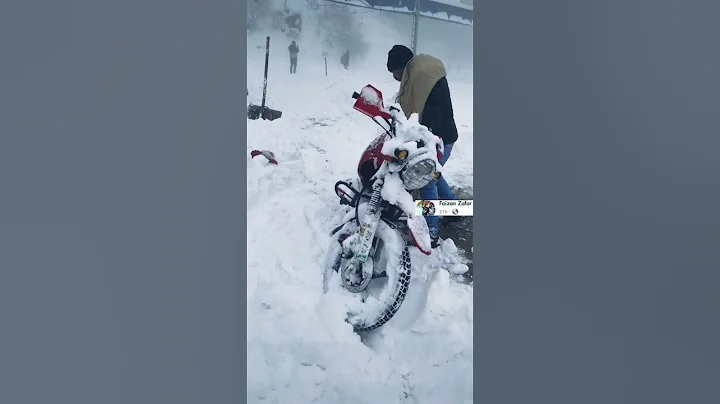 #Murre #Snowfall #Ybr #Short #2022🙉