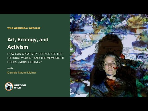 Video Art, Ecology, and Activism: A Conversation with Daniela Naomi Molnar