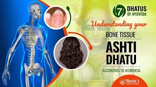 Understanding your bone tissue, ashti dhatu, according to Ayurveda.