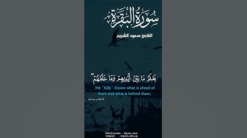 اية الكرسى سعود الشريم #قران #اية الكرسى #سعود الشريم #القران #قران كريم