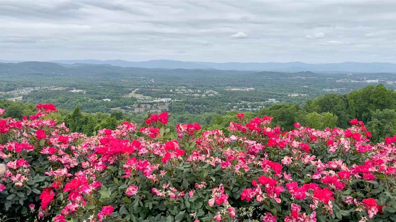 Exploring Carter Mountain Apple Orchard Scenic Views, Fresh Apples & Fall Delights! YouTube