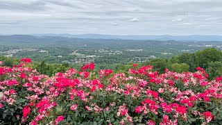 Exploring Carter Mountain Apple Orchard | Scenic Views, Fresh Apples & Fall Delights!