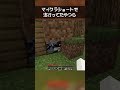 マイクラショートで流行ってたやつらの瞬間