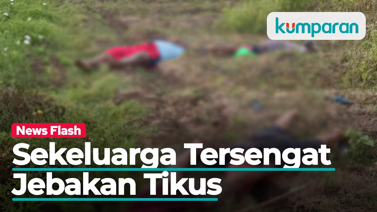 Teknisi Listrik Pln Bojonegoro - Seorang Warga Di ...