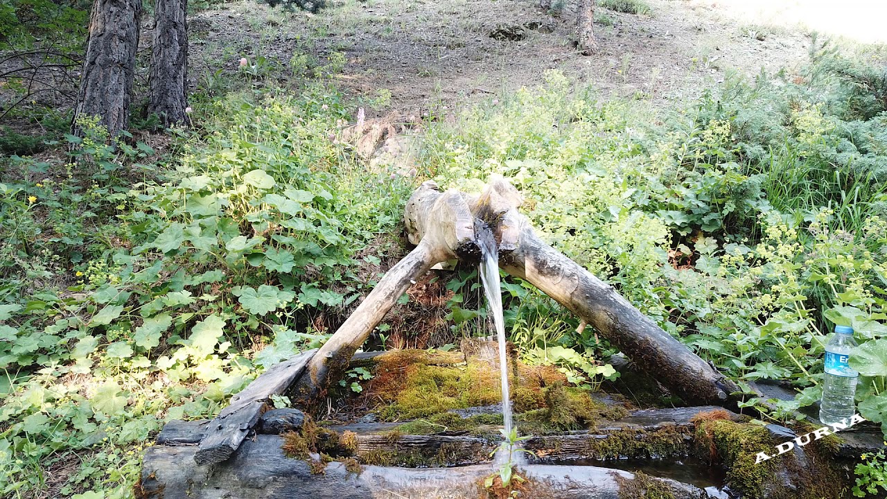 Erzincan Refahiye Yurtbaşı Köyü/Allı Turnam Ne Gezersin Havada