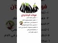 الفوائد الصحية في الباذنجان الأعشاب اكسبلور Explore 
