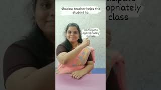 Shadow Teacher helps the students to