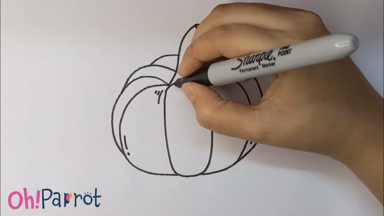 How to draw Pumpkin Step by Step for Kids YouTube